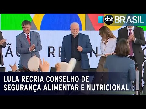 Descubra a parte comestível da lula e seus benefícios gastronômicos