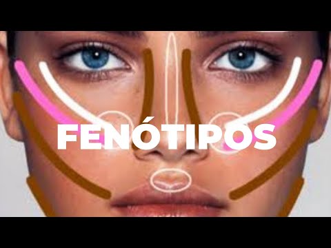 Entendendo a origem e características dos traços negróides: uma análise abrangente