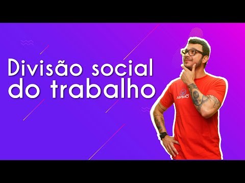 A Dinâmica Social e os Fatores de Divisão na Sociedade