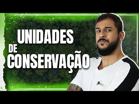 Certificação Florestal: Entenda seu significado e importância na preservação ambiental