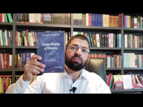 Entenda o conceito de lide de acordo com Carnelutti e sua importância no Direito