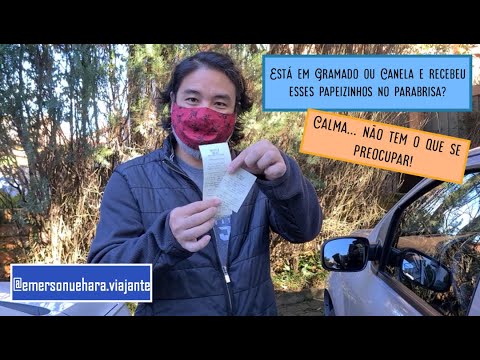 Estacionamento em gramados: saiba o que é permitido e quais as penalidades