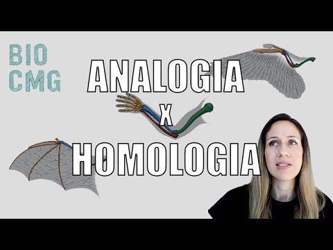 Homologia: Conceito e Exemplos Explicados de Forma Detalhada