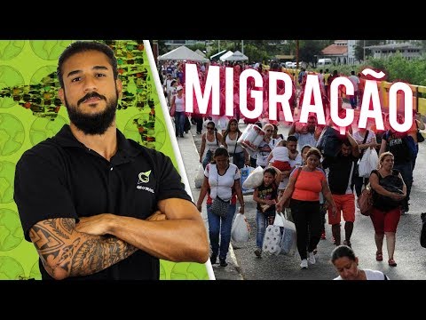 Conheça os principais tipos de migração: interna, externa e forçada