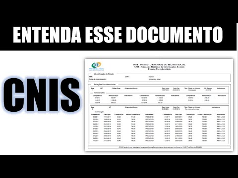 Entenda o Conceito de Remuneração do CNIS e seus Detalhes