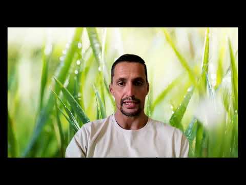 Guia completo para o envio do Laudo Técnico das Condições Ambientais do Trabalho (LTCAT) para o eSocial.