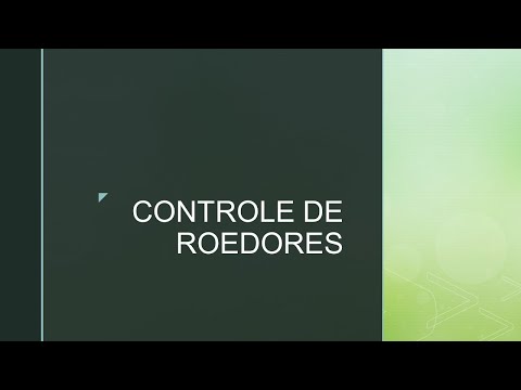 Descubra o país livre de roedores e as peculiaridades do seu ecossistema