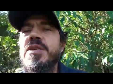 O Significado e a Importância do Arar a Terra - Guia Informativo