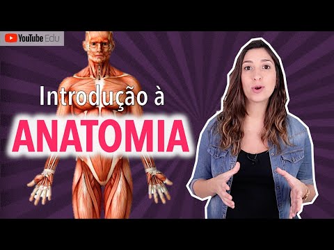 Conceitos Fundamentais: Entendendo as Condições Humanas