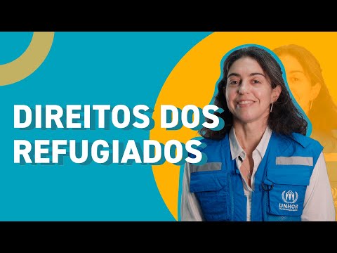 Tipos de Refugiado: Compreendendo as Classificações e Categorias Legais