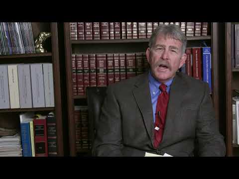 Parental Rights in Florida: Examining the Equality between Mothers and Fathers