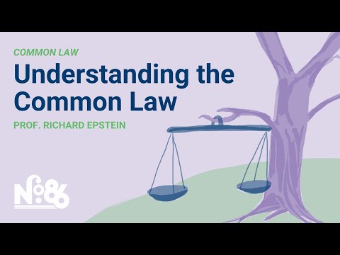 Understanding the Common Law System: A Survey of US State Jurisdictions