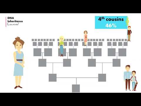 The Legal Implications of Fourth Cousin Relationships: Determining Familial Status in the United States.