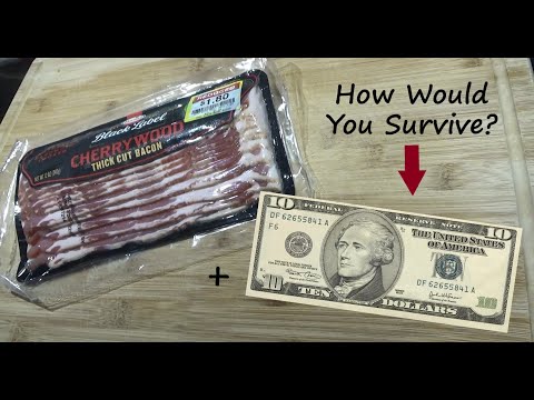 Title: The Feasibility of Living on $10 a Day: A Legal Perspective