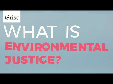 Understanding Environmental Justice in the United States: An In-Depth Analysis