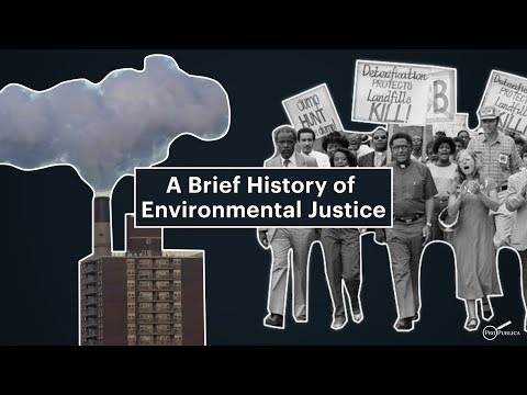 Organizations Advocating for Environmental Justice: A Comprehensive Overview