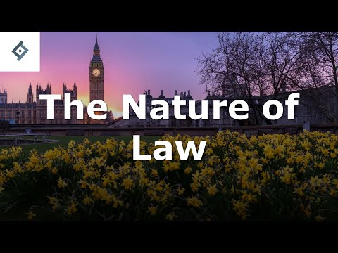 Understanding the Modern Law Review: A Comprehensive Analysis of Its Nature and Structure