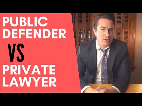 Understanding Public Defenders: State Attorneys Defending Individuals without Private Representation