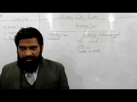 Understanding the Various Branches of Law in Pakistan