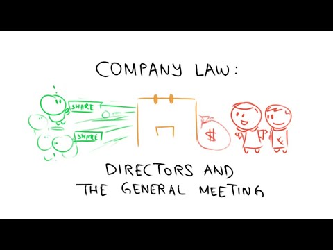 Understanding the Role of a Director in Company Law: Rights, Responsibilities, and Duties