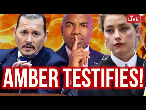 The Lead Legal Representative for Johnny Depp: Unveiling the Key Advocate Behind the Scenes