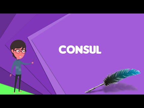 Understanding the Role of a Consul in US Law