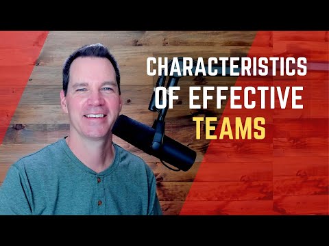 The Key Characteristics of an Effective Legal Team