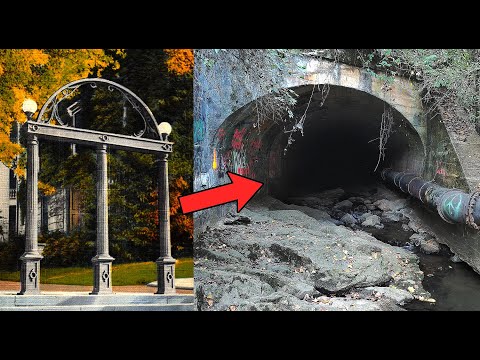 Exploring the Legacy: Unveiling the World's Oldest Law Firm