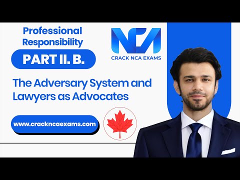 The Boundaries of Professional Conduct: A Lawyer's Interaction with Clients