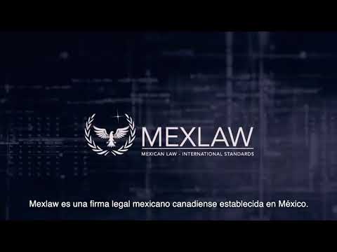 Understanding the Role of Legal Professionals in Mexico