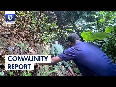 Exploring the Renowned Legal Minds of Nigeria