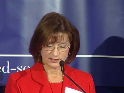 The Role of Legal Professionals in Government: Exploring the Position of Government Lawyers