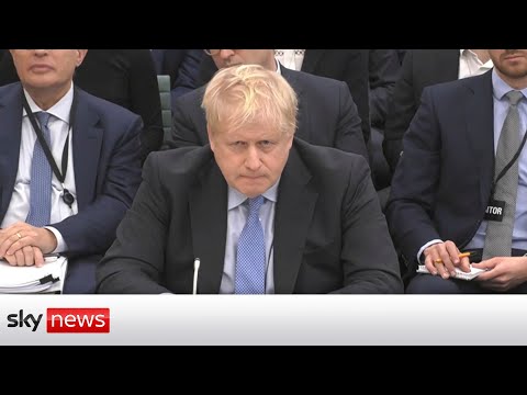 Unveiling the Legal Counsel Representing Boris Johnson: A Deeper Insight