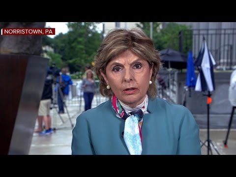 Exploring the Legal Expertise of Gloria Allred