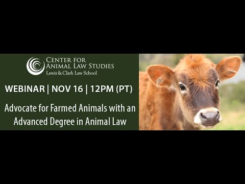 Understanding the Role of an Animal Rights Advocate in the United States: A Comprehensive Overview