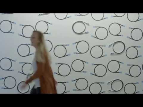 The Structure and Functionality of Amazon's Legal Department: An Overview