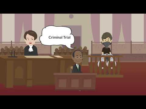 Understanding the Duties and Responsibilities of a Criminal Lawyer in the Legal System