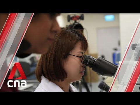 Consequences of Presenting Forged Evidence in the Legal System: A Comprehensive Examination