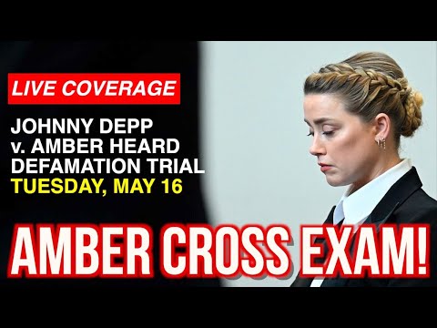 The Lead Attorney Representing Amber Heard in Legal Matters