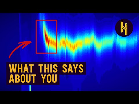 Understanding Spotify's Legal Representation