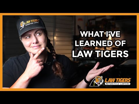The Leadership of the Law Tigers: Unveiling the CEO Behind the Legal Powerhouse