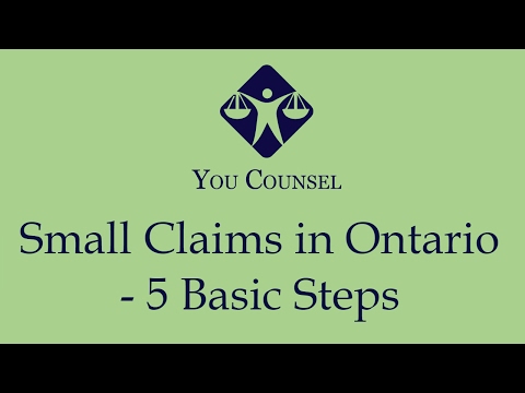 Understanding Legal Aid Ontario's Duty Counsel Services in Small Claims Court