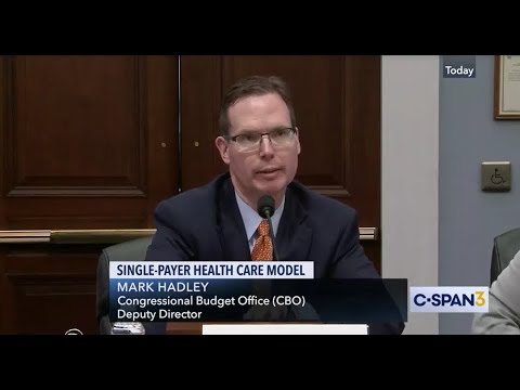 Building an Effective Legal Team: Key Factors and Considerations