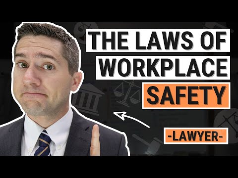 Understanding the Four Legal Requirements of Employees in the Workplace