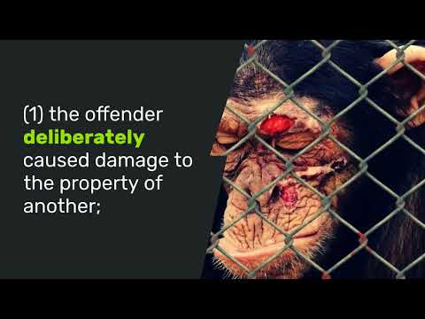 Understanding the Legal Implications of Malicious Mischief in the Philippines