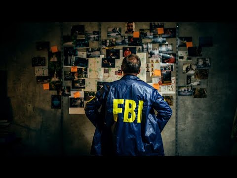 Exploring the Correlation Between Criminal Justice Majors and Opportunities within the FBI