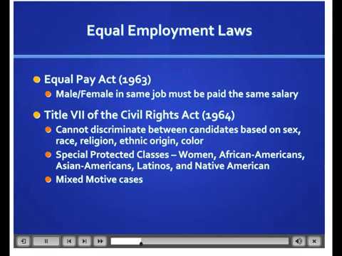 Understanding the Role of an Employment Law Solicitor: A Comprehensive Overview