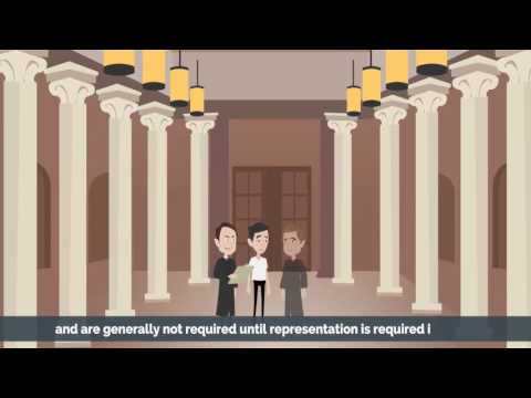 Understanding the Distinction between Barristers and Lawyers in US Law