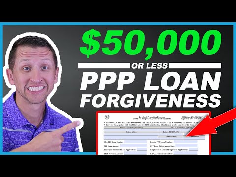 Understanding the Legal Recourse for PPP Loan Forgiveness