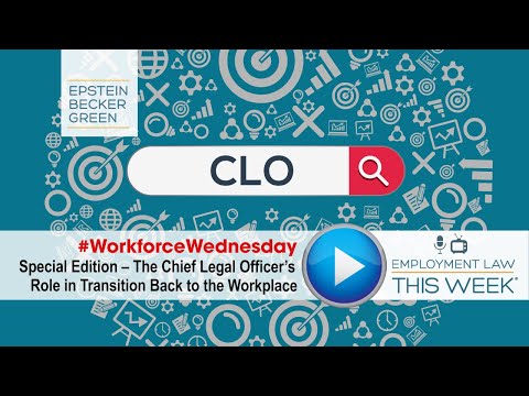 Responsibilities and Reporting Structure of a Chief Legal Officer in an Organization